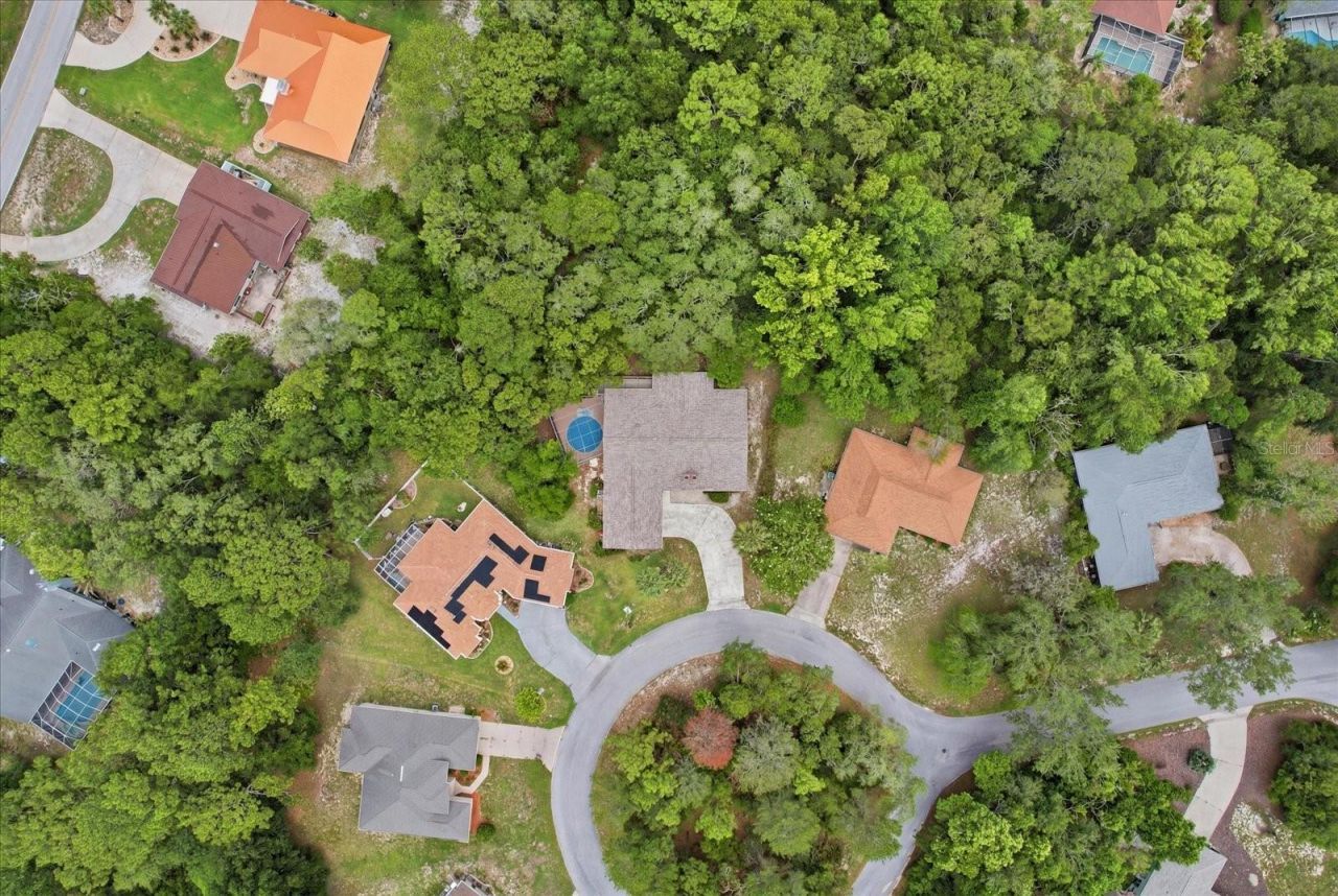 5 Sycamore Court N, Homosassa, FL 34446 Photo