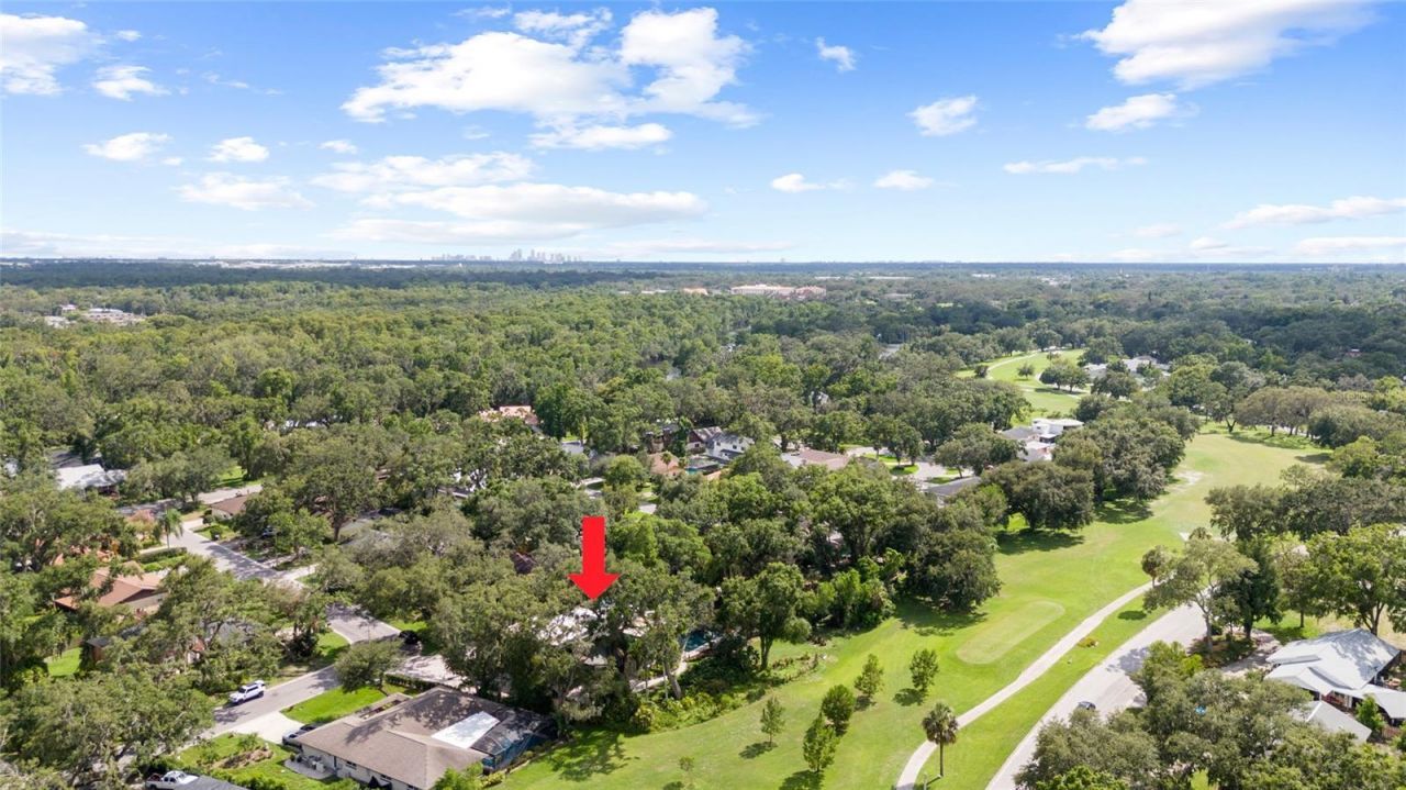 410 Montrose Avenue , Temple Terrace, FL 33617 Photo