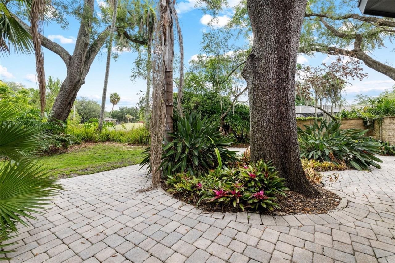 410 Montrose Avenue , Temple Terrace, FL 33617 Photo