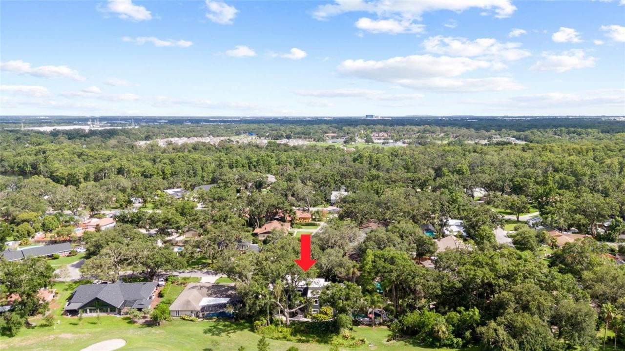 410 Montrose Avenue , Temple Terrace, FL 33617 Photo