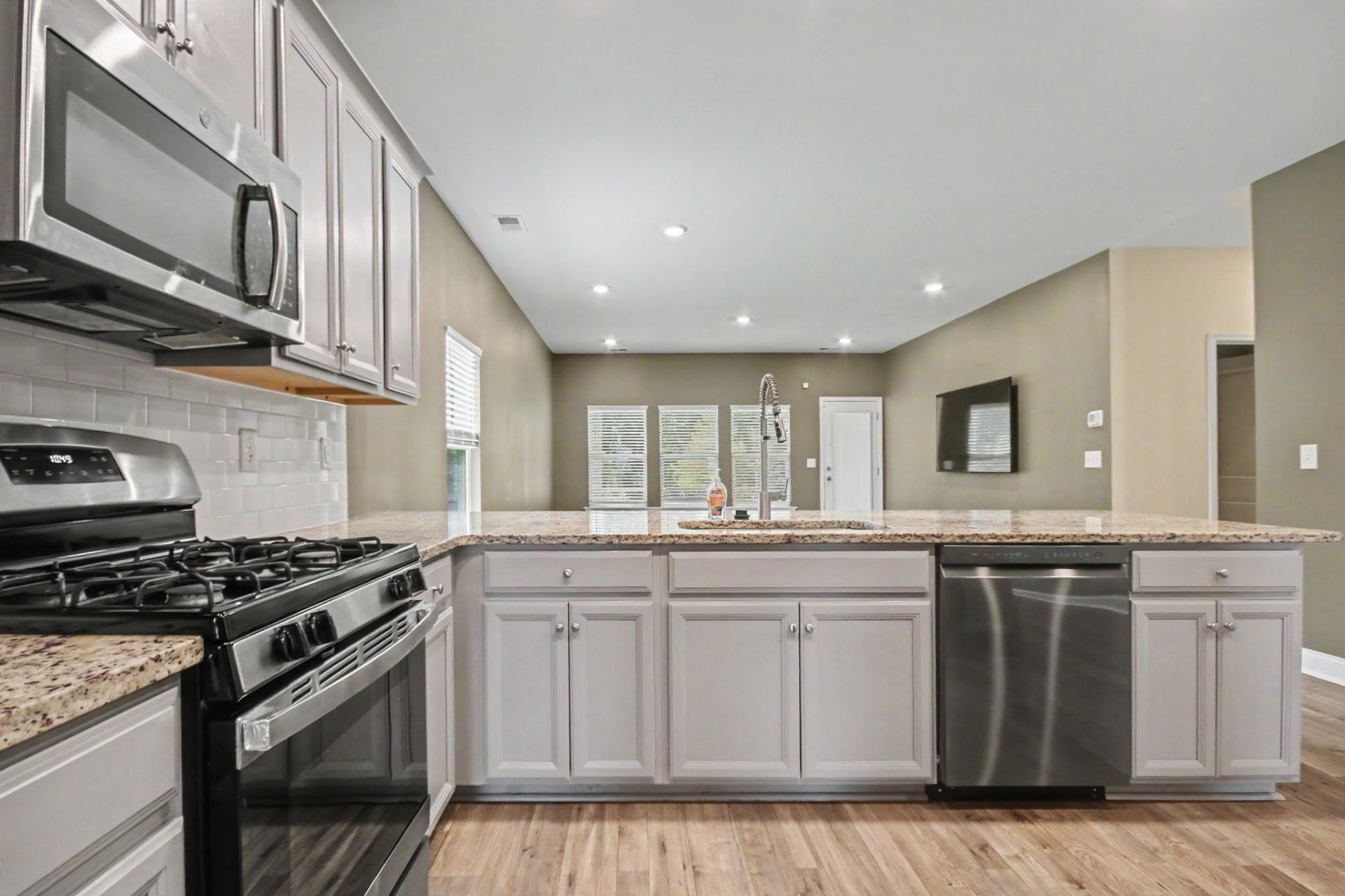 2223 Blue Crane Circle Photo 10