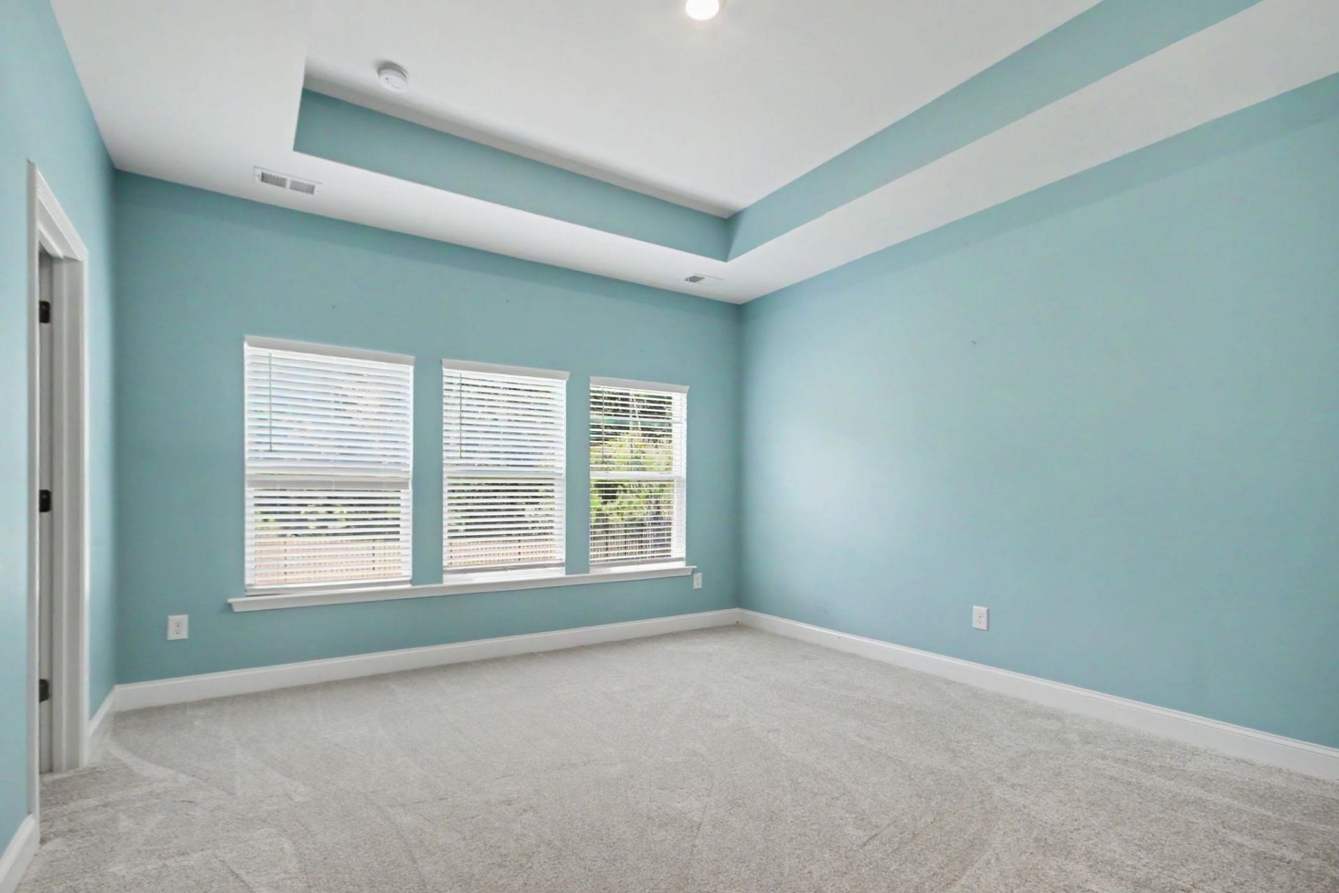2223 Blue Crane Circle Photo 20