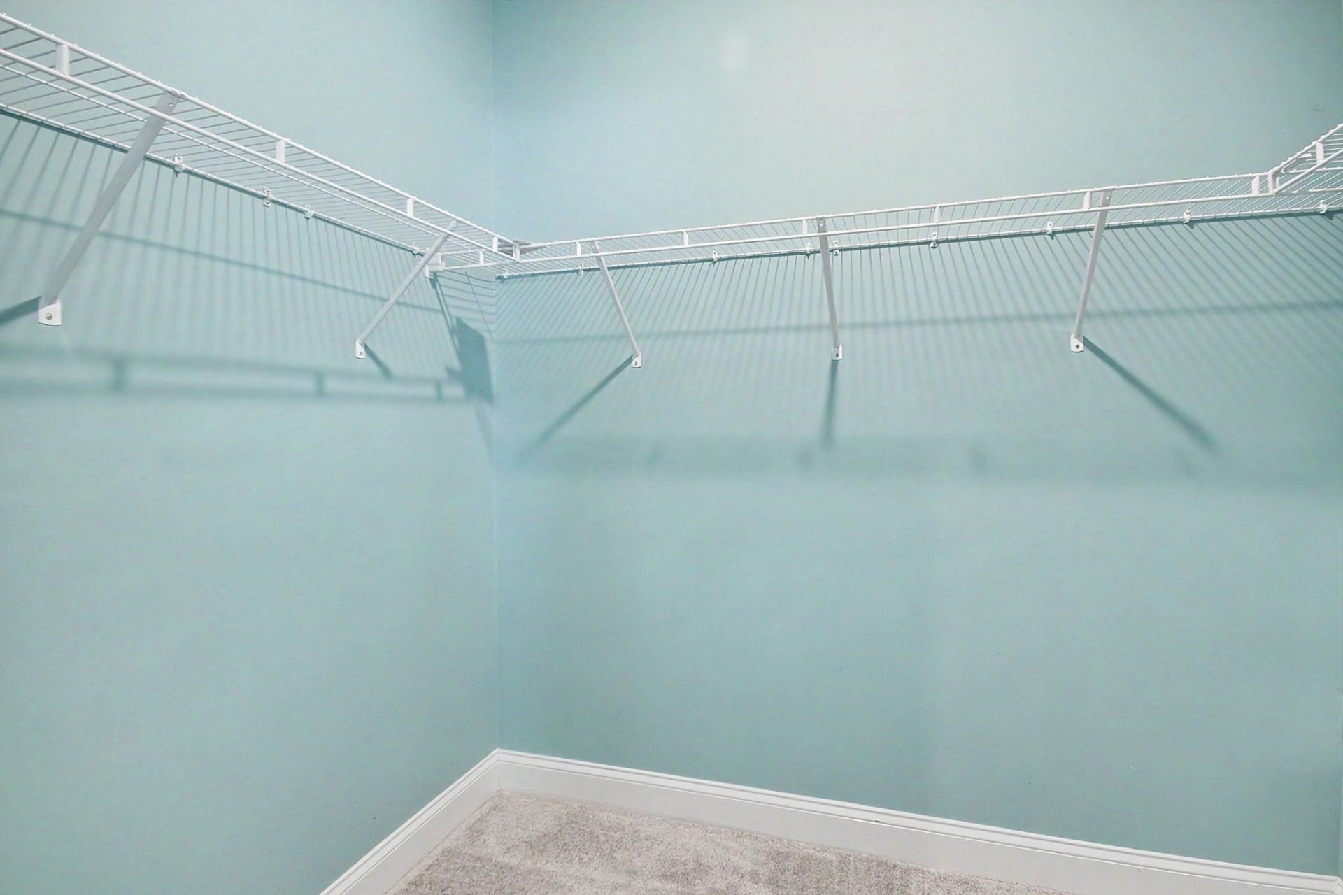 2223 Blue Crane Circle Photo 21