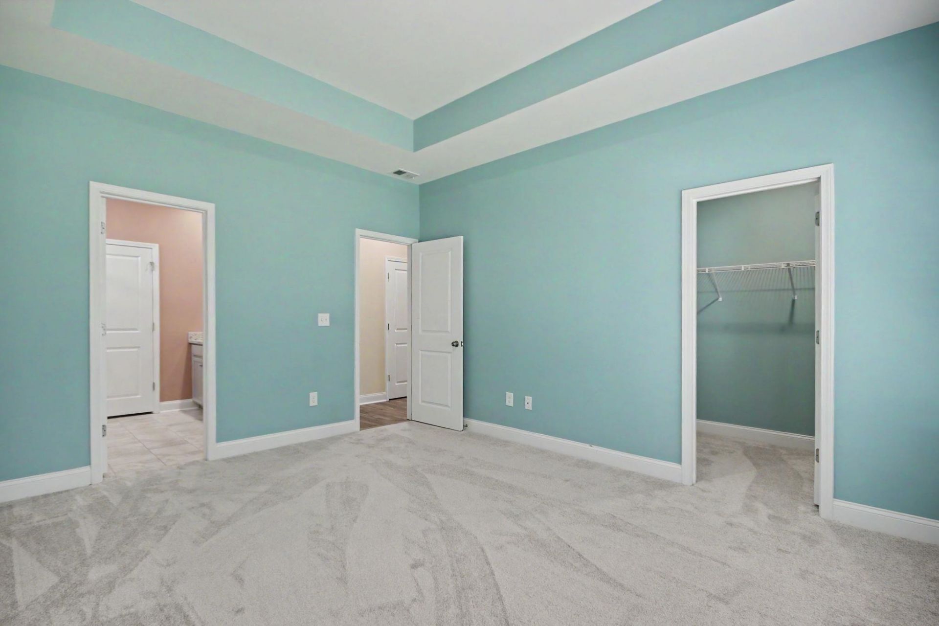 2223 Blue Crane Circle Photo 22