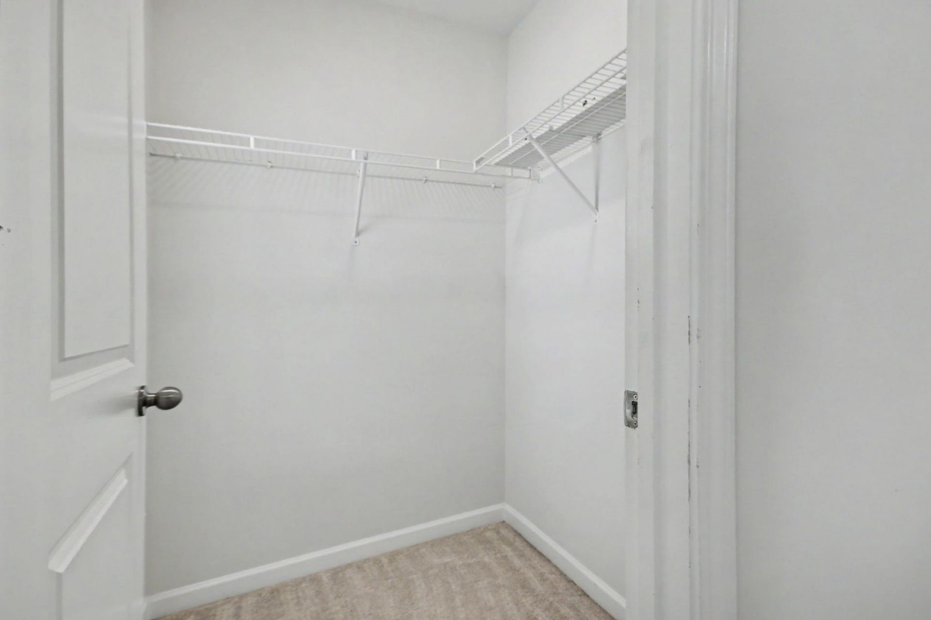 2223 Blue Crane Circle Photo 34