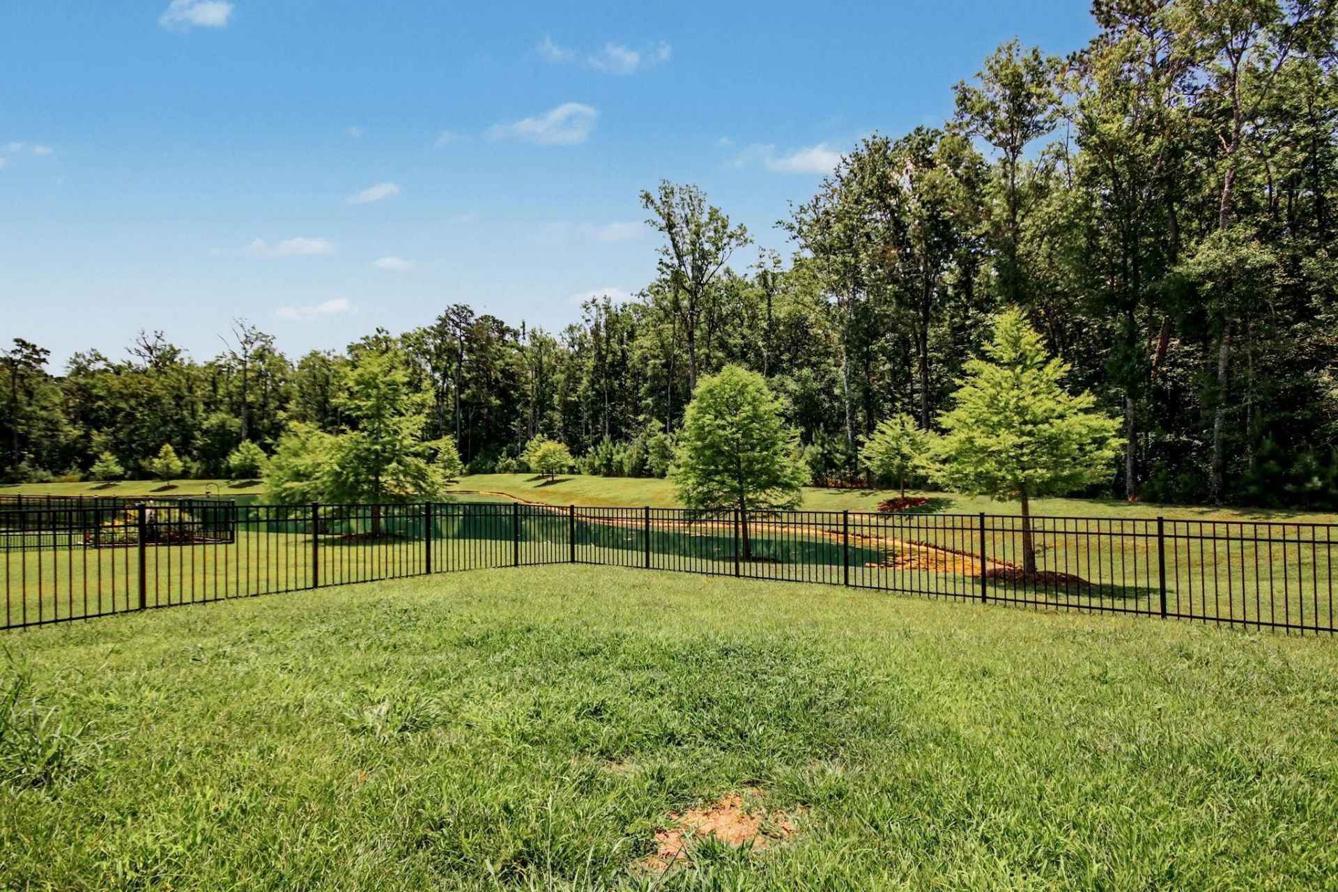2223 Blue Crane Circle Photo 45