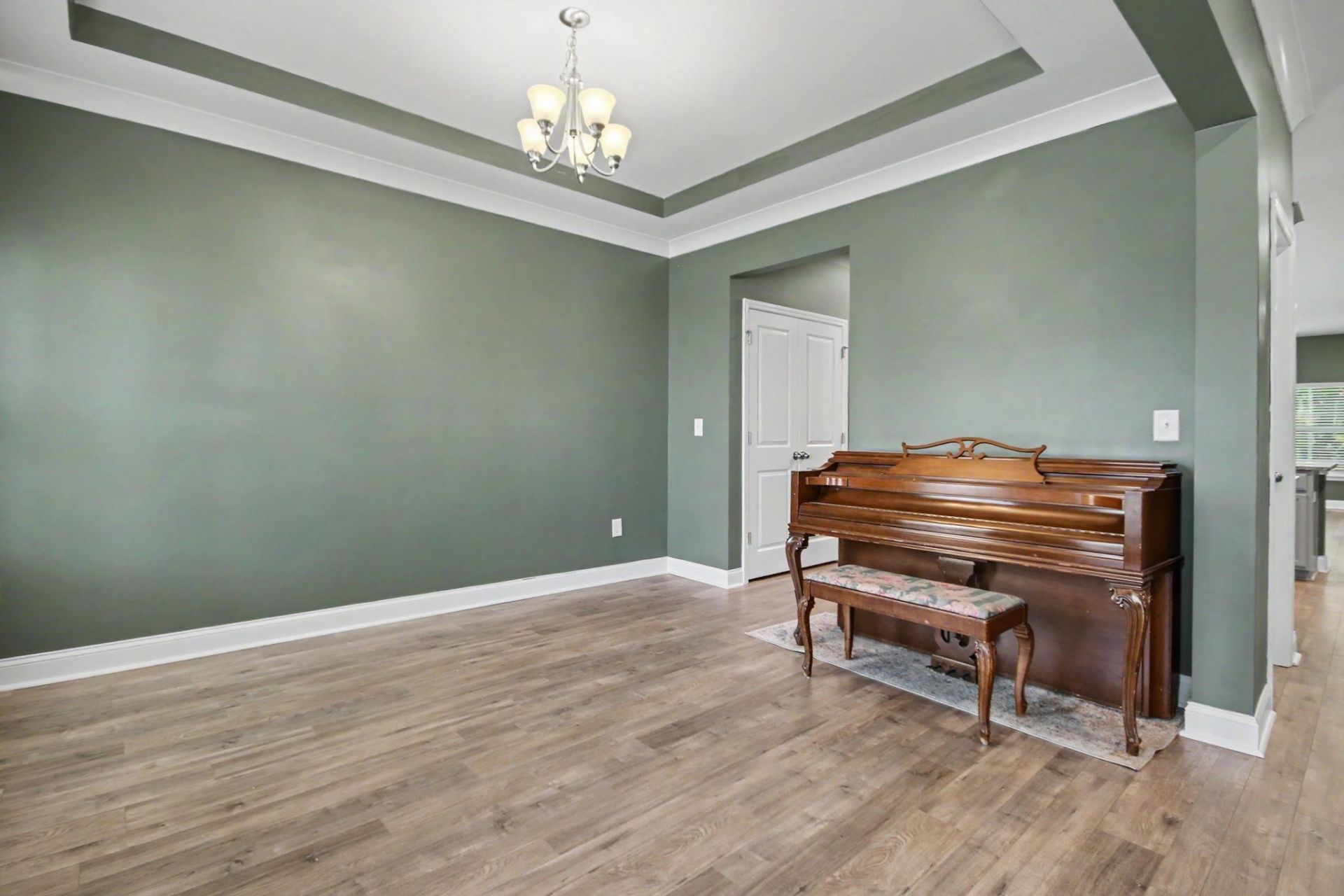 2223 Blue Crane Circle Photo 8