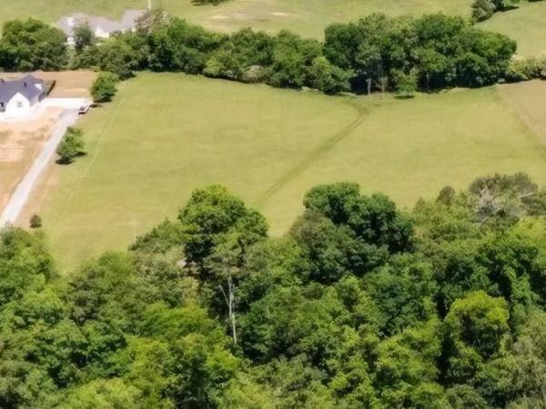 Holston River Drive, Rutledge, TN 37861