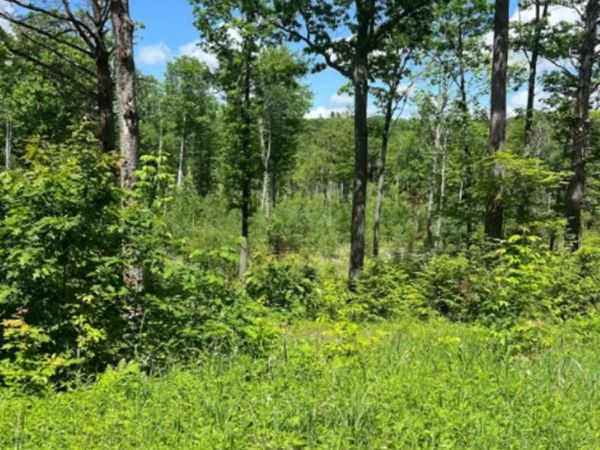 00 Corno and Canaan Road, Unit All 8 Lots, Canaan, NH 03741