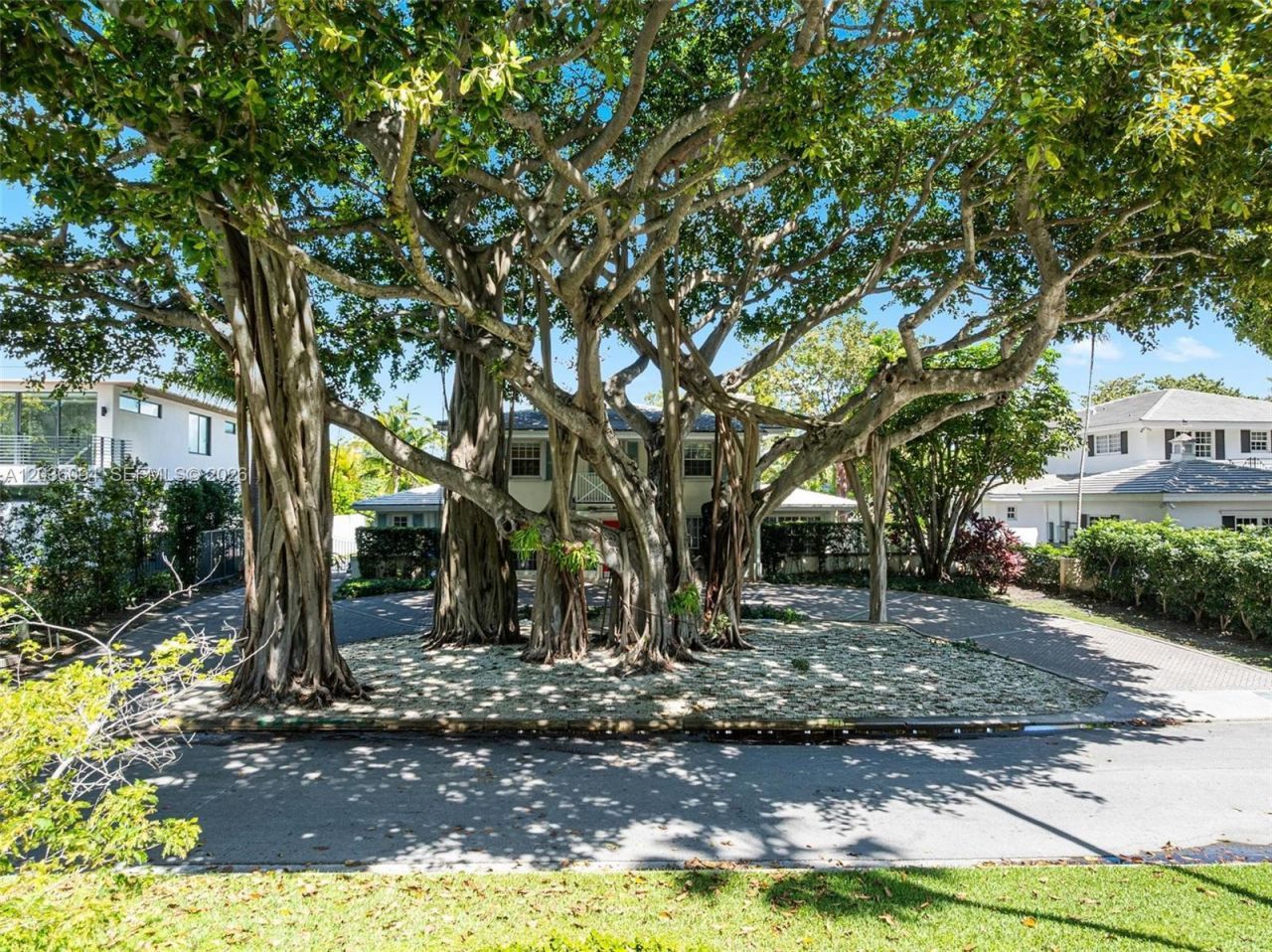 655 Buttonwood Ln , Miami, FL 33137 Photo