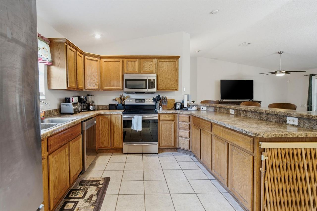 16723 SE 173rd Terrace Road, Weirsdale, FL 32195 Photo
