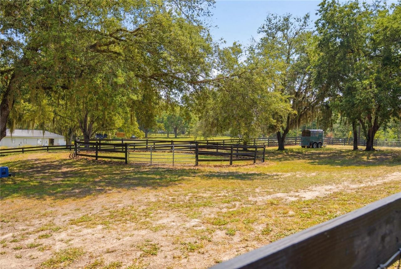 16723 SE 173rd Terrace Road, Weirsdale, FL 32195 Photo