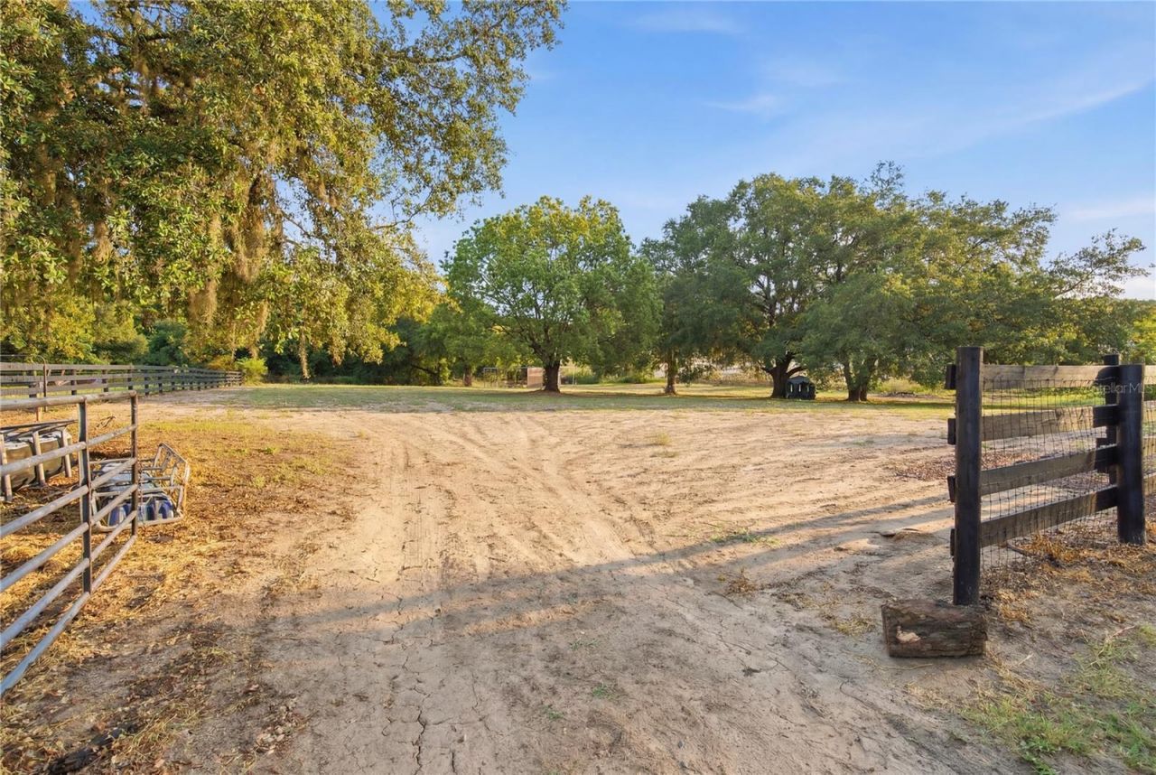 16723 SE 173rd Terrace Road, Weirsdale, FL 32195 Photo