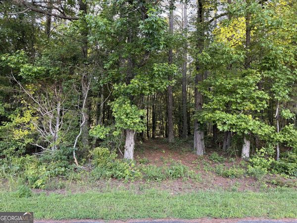 0 Wildcat Road, Buchanan, GA 30113