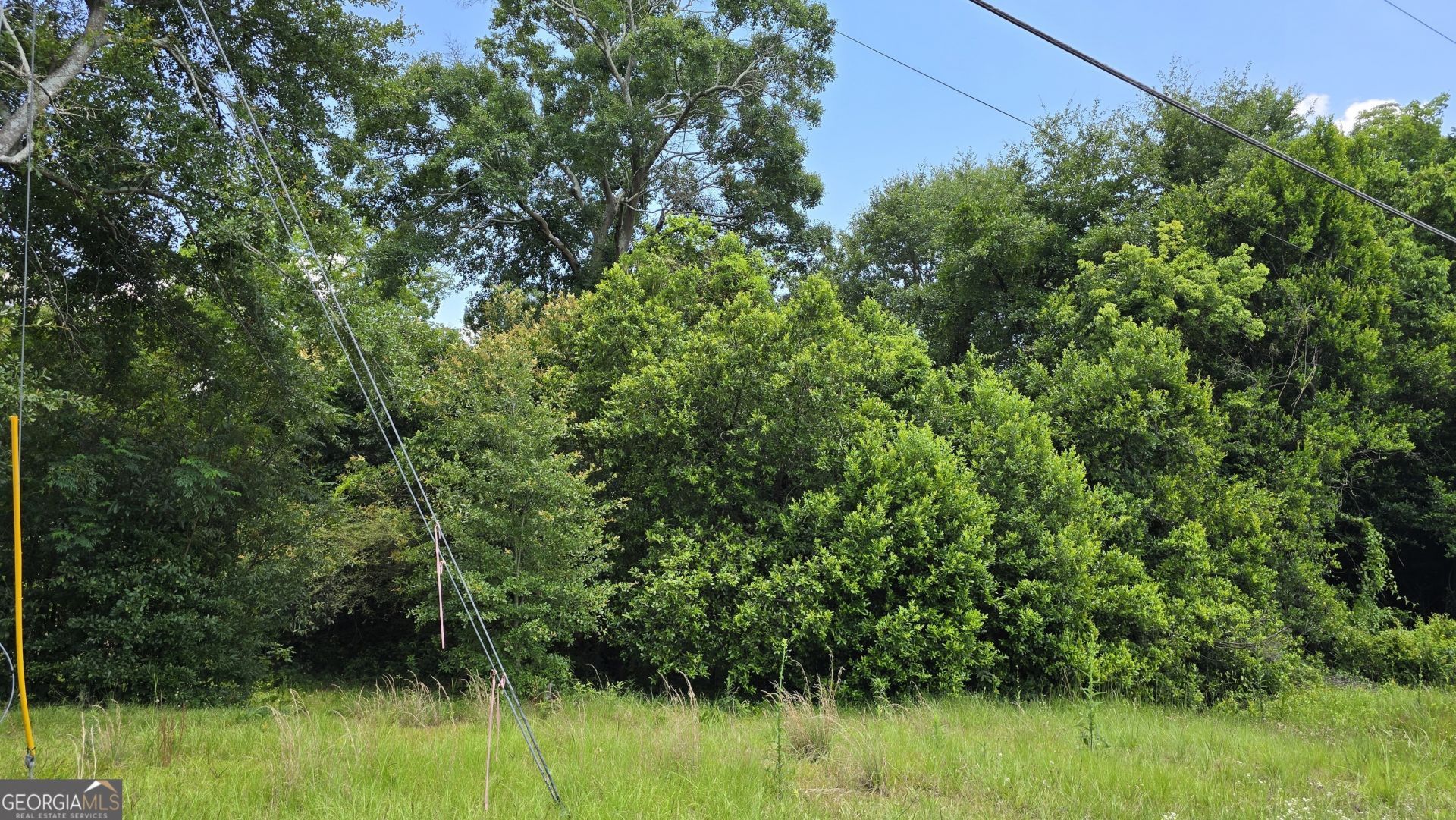 3328 Rice Mill Road, Macon, GA 31206 Main Photo