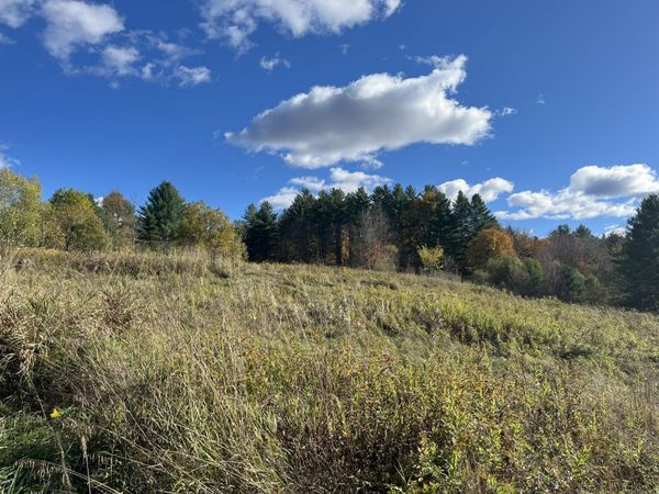 0 Old Farm Road, Unit C, Stowe, VT 05672
