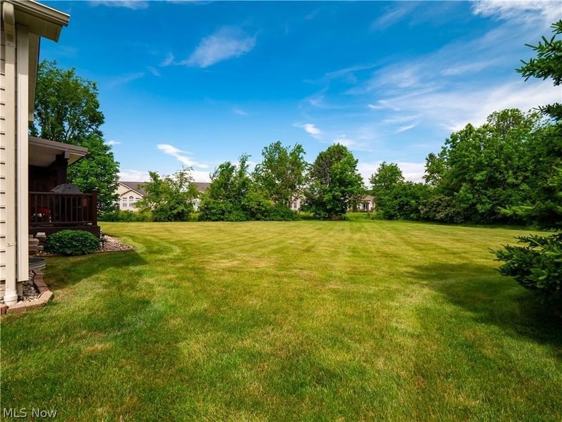 39178 Hawthorne Drive, Avon, OH 44011 Photo 46