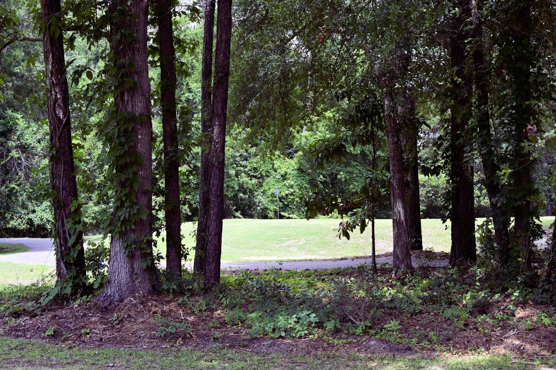 4952 Forsythia Circle Photo 5