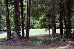 4952 Forsythia Circle photo 4