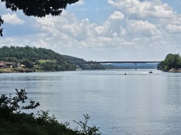 5 Island View Dr , Unit 4&5, Bath Springs, TN 38311