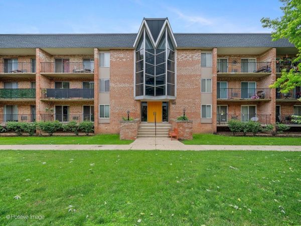 1001 N Mill Street , Unit 311, Naperville, IL 60563