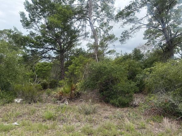 105 HOOVER AVENUE NE, LAKE PLACID, FL 33852
