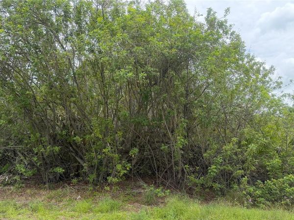 140 FILLMORE AVENUE , LAKE PLACID, FL 33852
