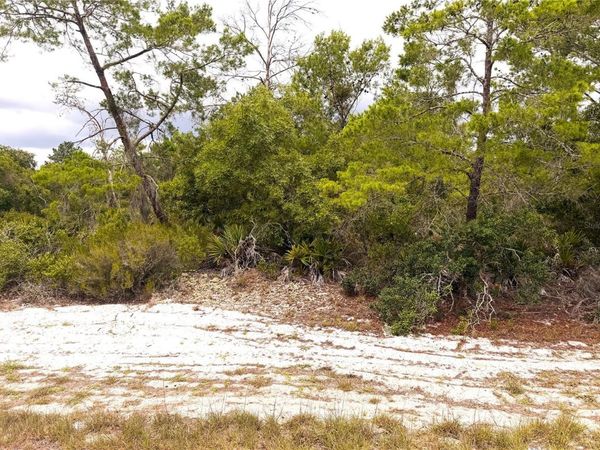 209 COOLIDGE AVENUE NE, LAKE PLACID, FL 33852