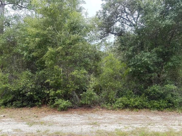 359 COOLIDGE AVENUE NE, LAKE PLACID, FL 33852