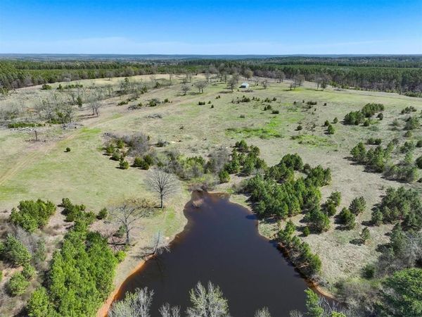 421 CR 3875 , Mineola, TX 75773