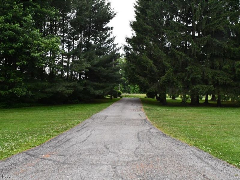 10566 Clapsaddle Avenue NE, Alliance, OH 44601 Photo 22