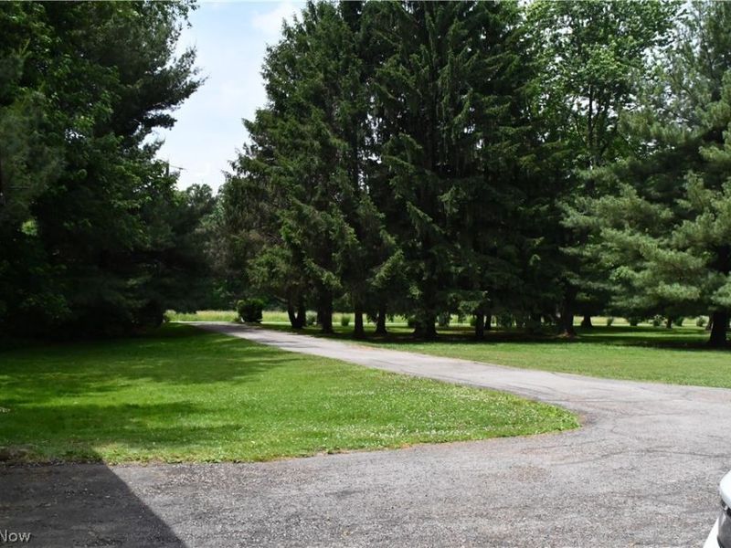 10566 Clapsaddle Avenue NE, Alliance, OH 44601 Photo 24