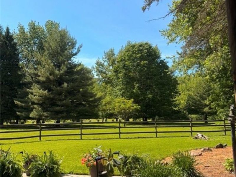 10566 Clapsaddle Avenue NE, Alliance, OH 44601 Photo 3