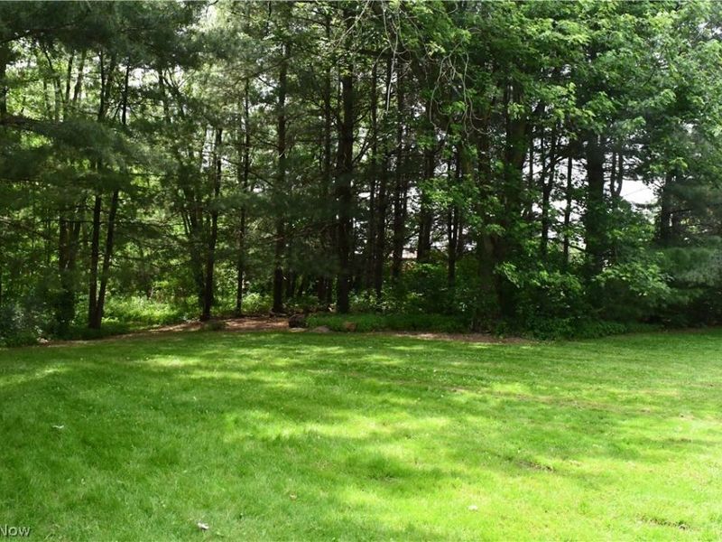 10566 Clapsaddle Avenue NE, Alliance, OH 44601 Photo 30