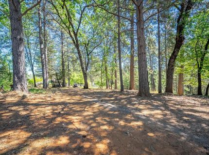 1115 Pine Vista Ln, Meadow Vista, CA 95722 Photo