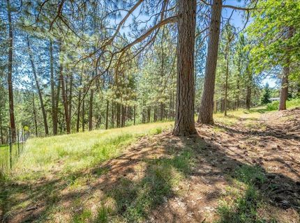 1115 Pine Vista Ln, Meadow Vista, CA 95722 Photo