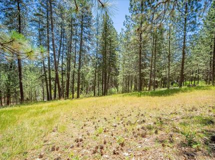 1115 Pine Vista Ln, Meadow Vista, CA 95722 Photo