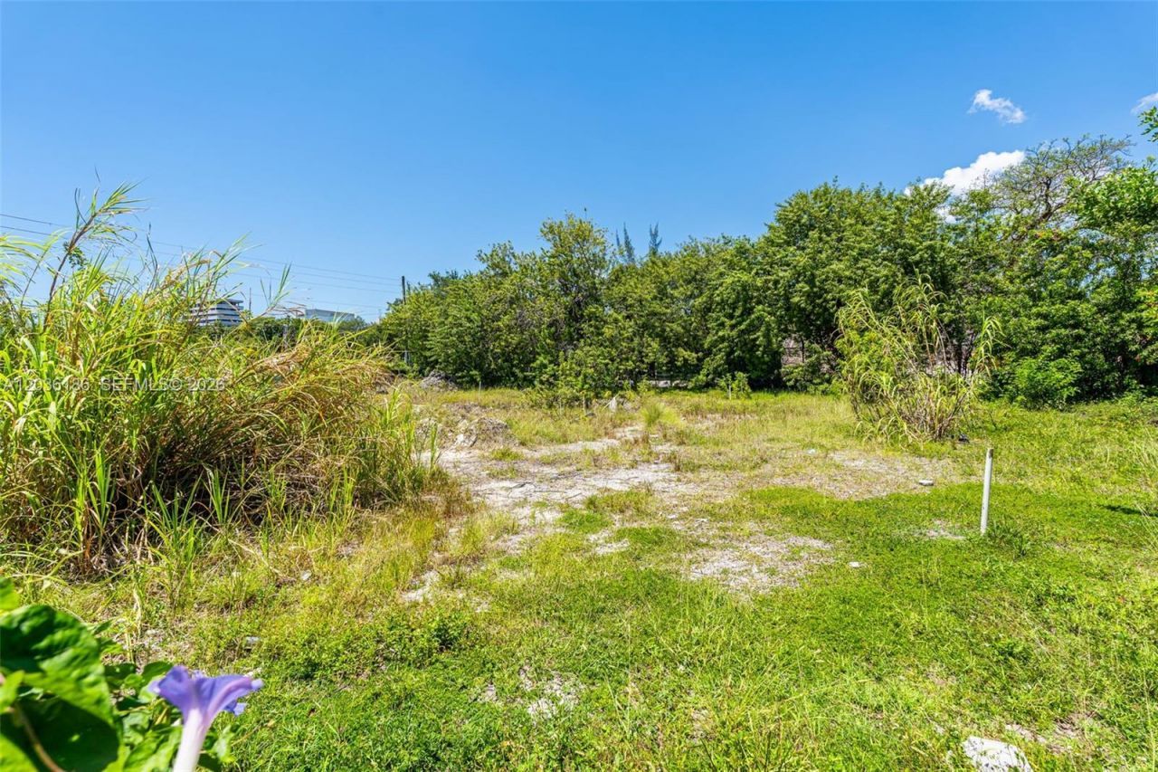 1800 NW 7th Ave, Miami, FL 33136 Photo