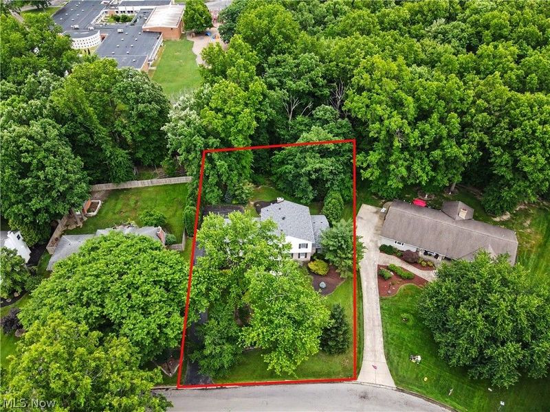 553 N Briarcliff Drive, Canfield, OH 44406 Photo 3