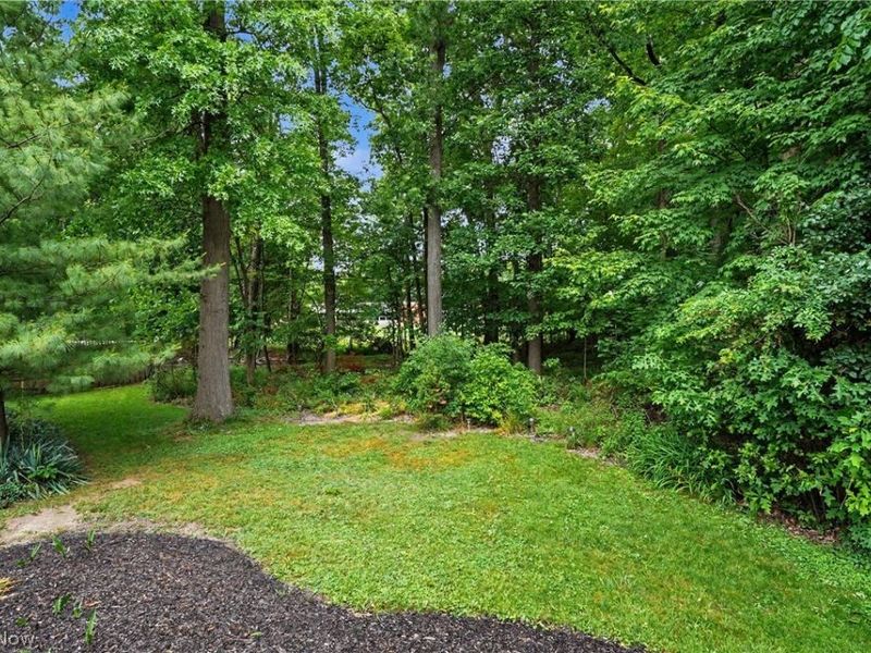 553 N Briarcliff Drive, Canfield, OH 44406 Photo 42