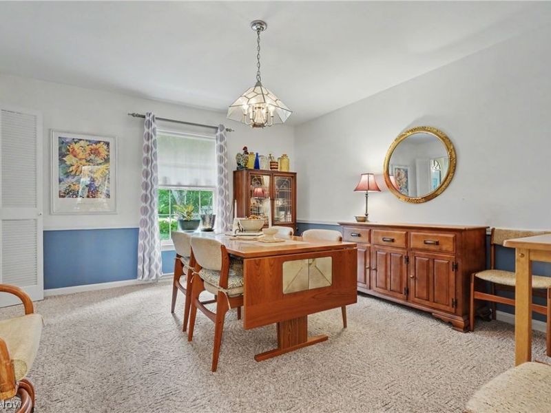 553 N Briarcliff Drive, Canfield, OH 44406 Photo 7