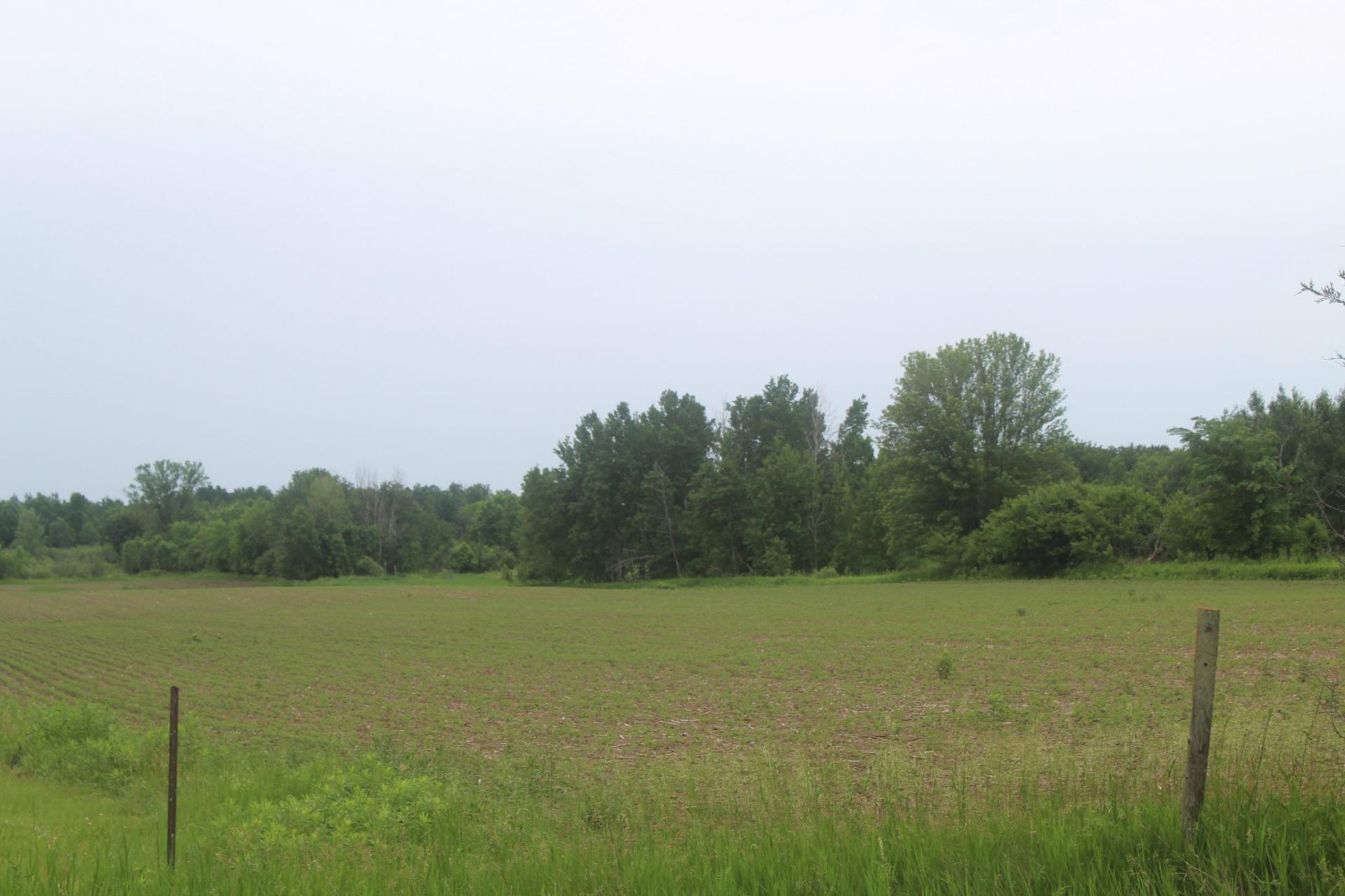 10xx 120 Avenue, Ogilvie, MN 56358