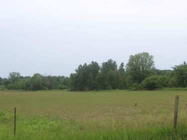 TBD-1 120 Avenue, Ogilvie, MN 56358