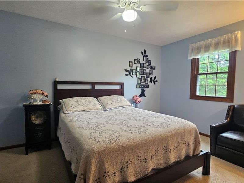 9325 Wyant Drive, Mentor, OH 44060 Photo 21