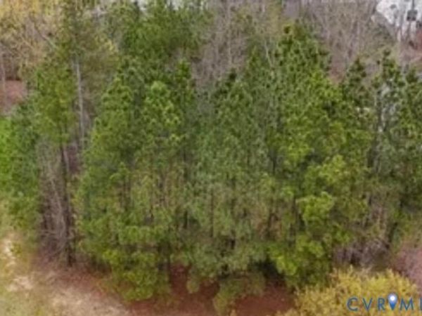 9019 Sir Britton Drive , Chesterfield, VA 23832