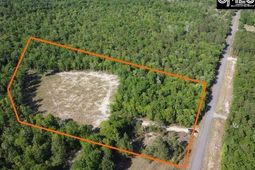 0 Browns Pond Road  photo 4