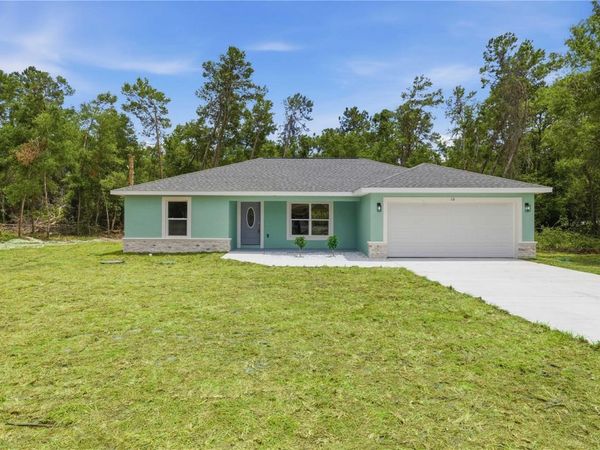 10 BAY LANE , OCKLAWAHA, FL 32179