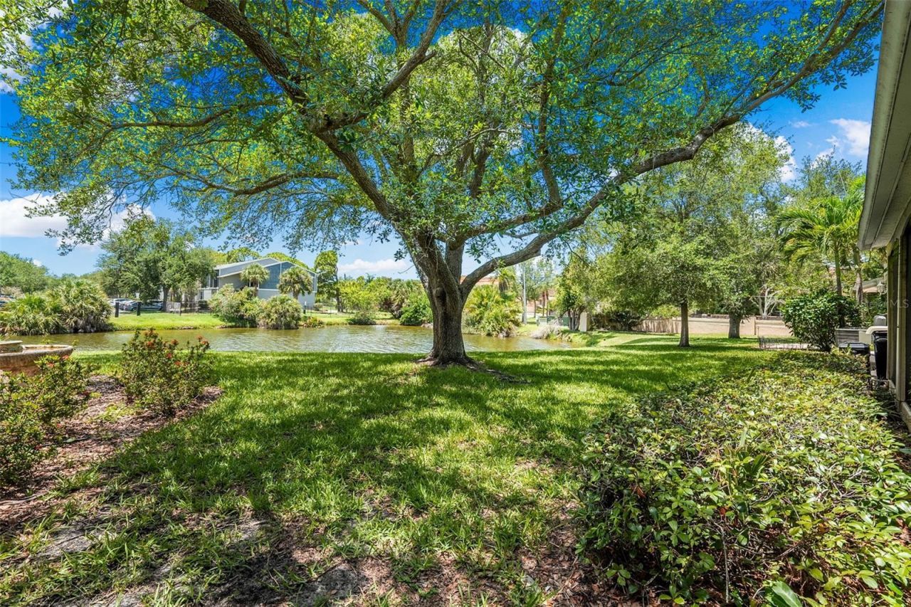 13770 Marseilles Court, Clearwater, FL 33762 Photo