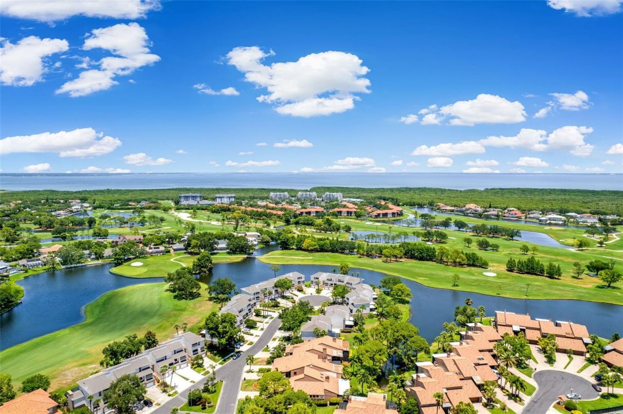 13770 Marseilles Court, Clearwater, FL 33762 Photo