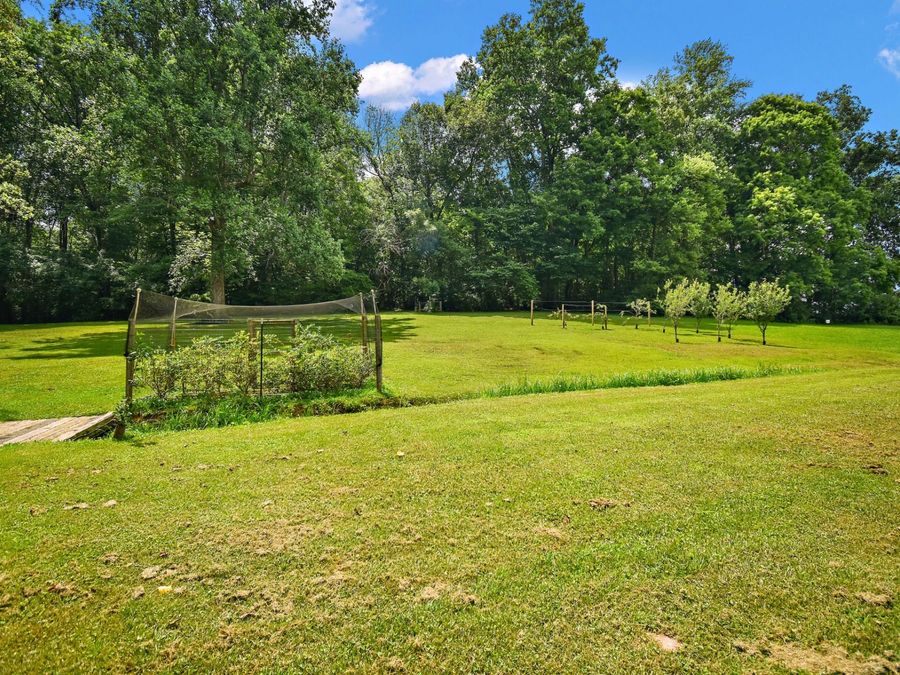 Property Image 54